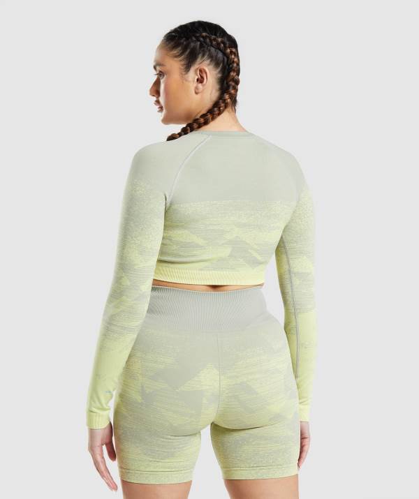Damske Crop Top Gymshark Adapt Ombre Siva | GQ3542169